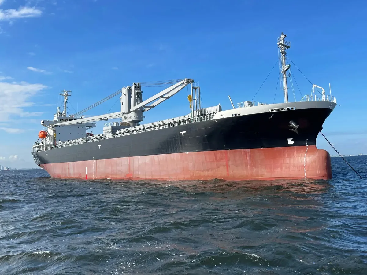 General Cargo/Multi-purpose de vânzare