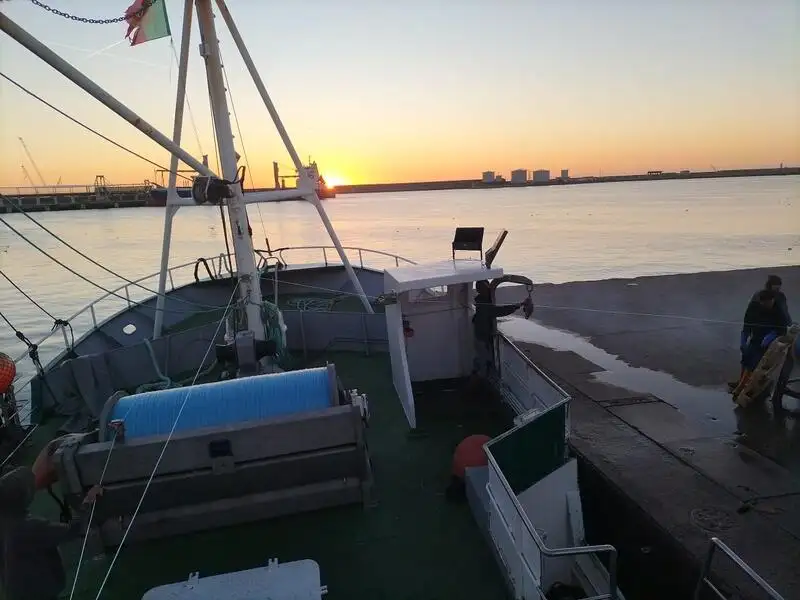 Nava de pescuit tip trauler de vânzare