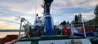 Remorcher de vânzare