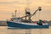 Purse seiner de vânzare