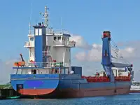 Nava de transport marfă vrac de vânzare