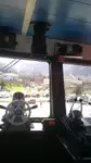 Navă Ro-Ro de vânzare