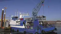 Nava de transport marfă vrac de vânzare