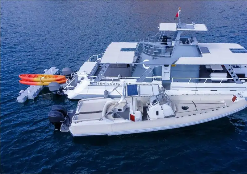 Catamaran de vânzare