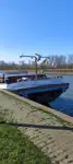 Nava de transport marfă vrac de vânzare