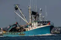 Purse seiner de vânzare