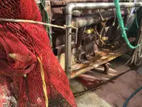 Nava de pescuit tip trauler de vânzare