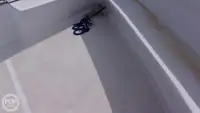 Suport pentru scufundări de vânzare