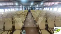 Navă Ro-Ro de vânzare