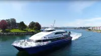 Catamaran de vânzare
