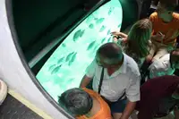 Submarin de vânzare