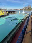 Nava de transport marfă vrac de vânzare