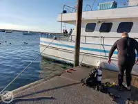 Navă de feribot de vânzare