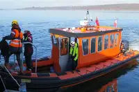 Ambarcație gonflabilă rigidă de vânzare
