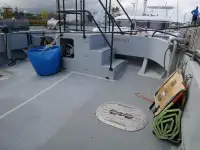 Catamaran de vânzare
