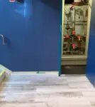 Navă de croazieră și feribot de vânzare