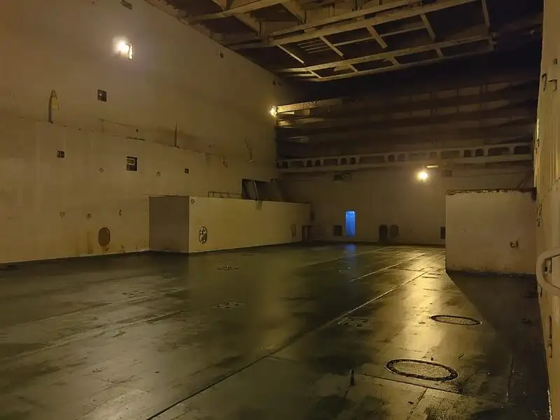 Nava de transport marfă vrac de vânzare