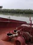 Nava de transport marfă vrac de vânzare