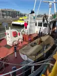 Nava de transport marfă vrac de vânzare