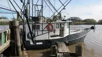 Trawler de vânzare