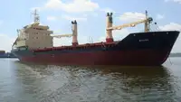 Nava de transport marfă vrac de vânzare