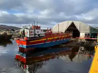 Ro-Ro ship de vânzare