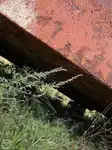 Barjă de vânzare