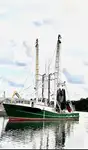 Trawler de vânzare