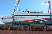 Catamaran de vânzare