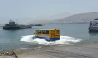 Amfibie de vânzare
