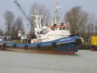 Remorcher de vânzare