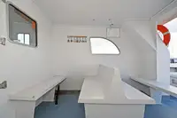 Catamaran de vânzare