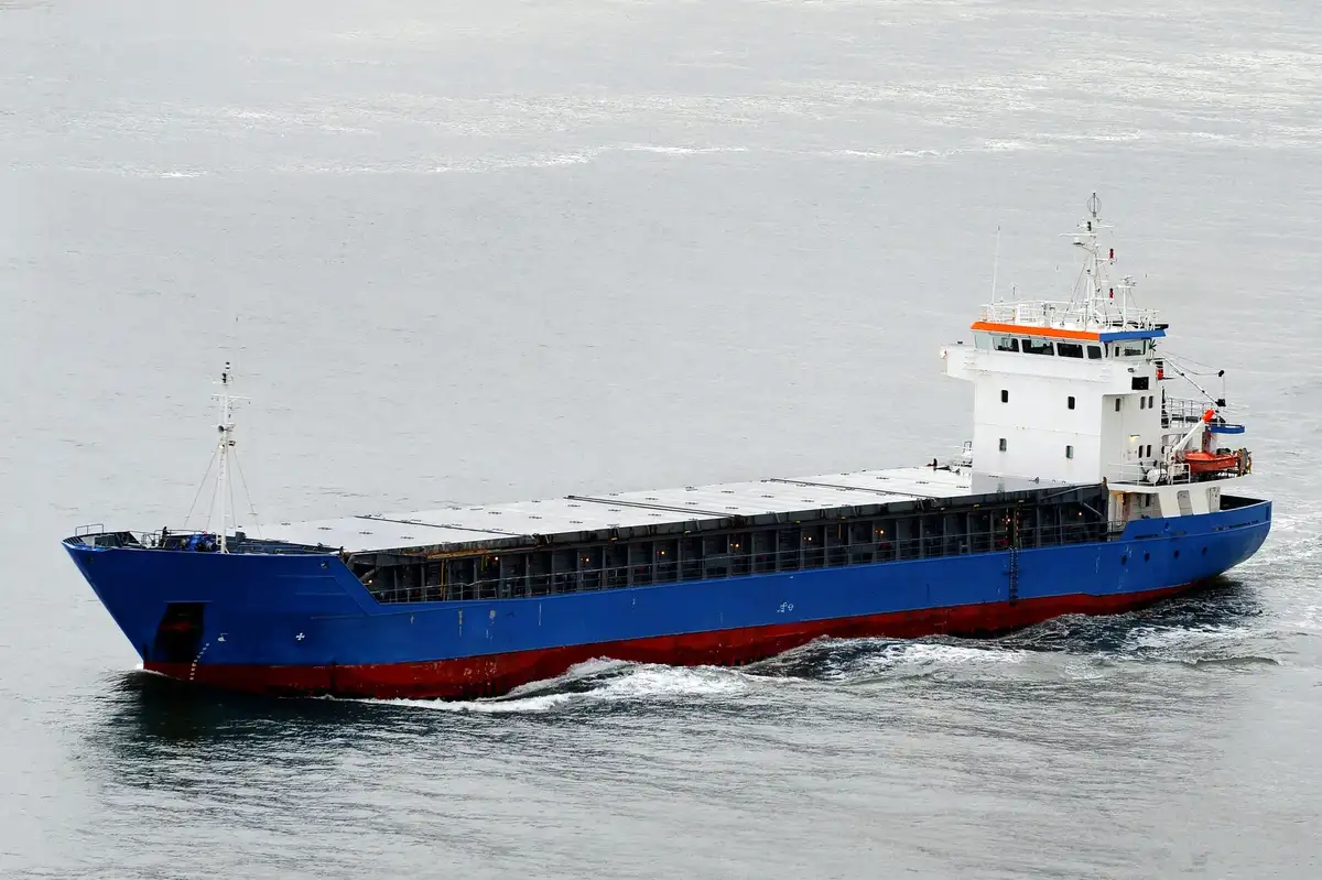 Nava de transport marfă vrac de vânzare