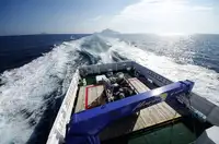Nava de transport marfă vrac de vânzare
