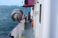General Cargo/Multi-purpose de vânzare