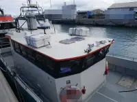 Catamaran de vânzare