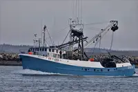 Nava de pescuit cu plase purseine de vânzare