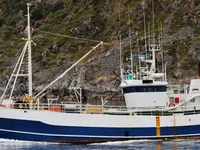 Nava de pescuit tip trauler de vânzare