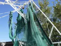 Nava de pescuit tip trauler de vânzare