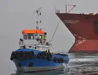 Remorcher de vânzare