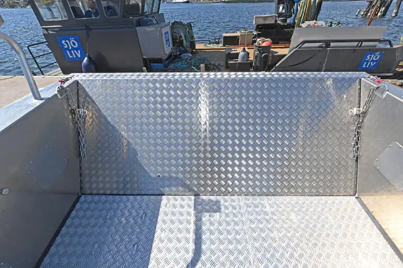 Catamaran de vânzare