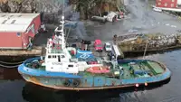 Remorcher de vânzare