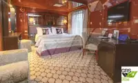 Navă de croazieră de vânzare