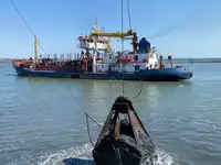 Dragă de vânzare