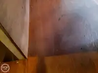 Navă de feribot de vânzare