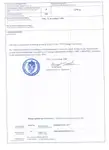 Navă Ro-Ro de vânzare