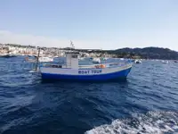 Nava de pescuit tip trauler de vânzare