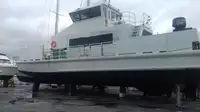 Catamaran de vânzare