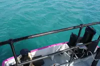 General Cargo/Multi-purpose de vânzare