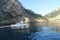 Navă cu feribotul de vânzare